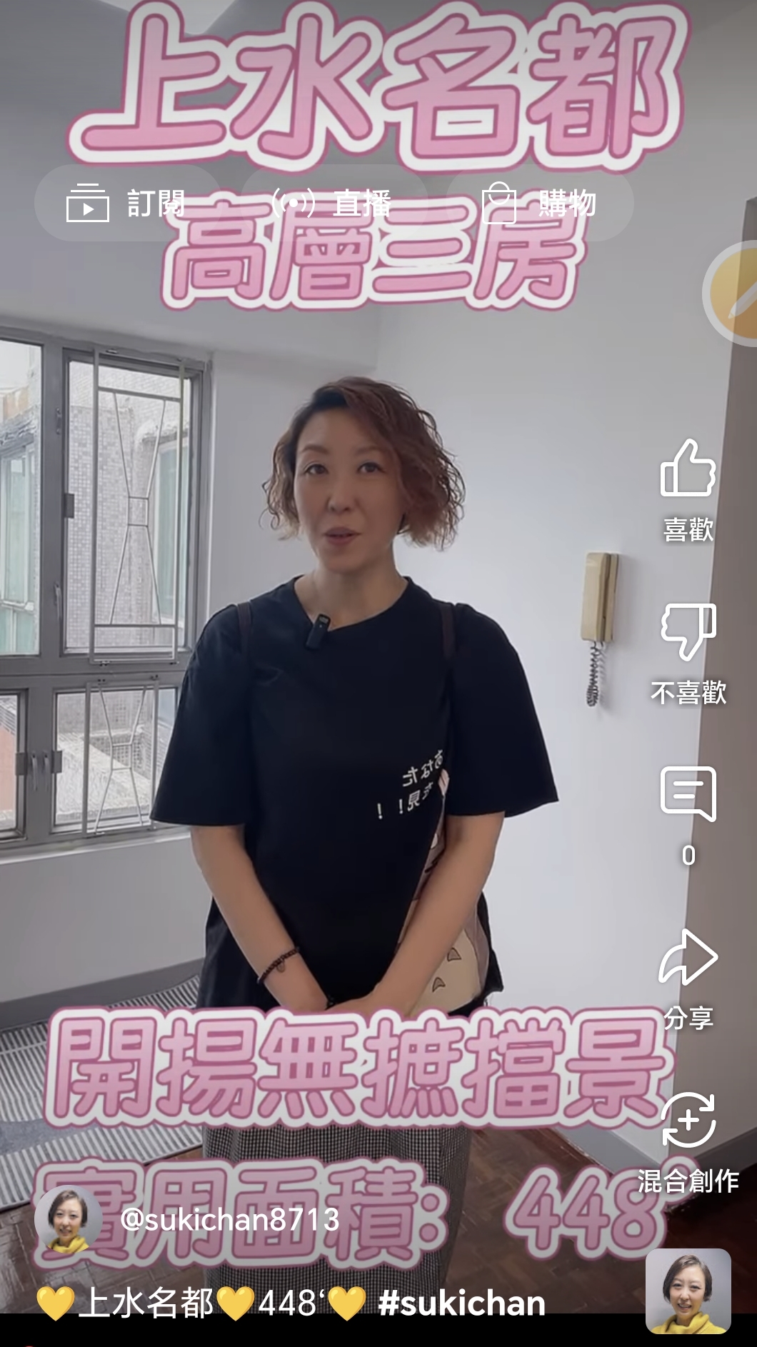 罕有北區公園景3房